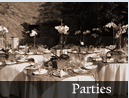 Parties